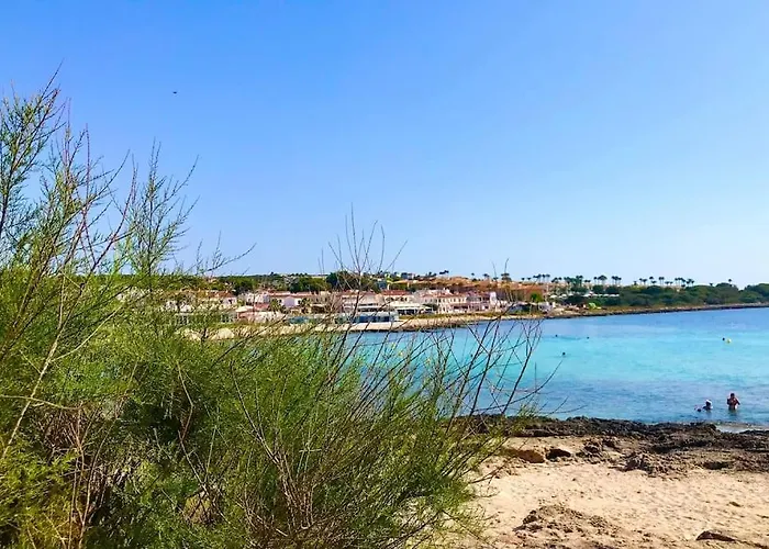 * Ideale Famille-plage, Activites, Commerces 푼타프리마